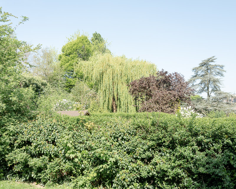 Espace vital, espace privé et espace public, jardins et cabane.